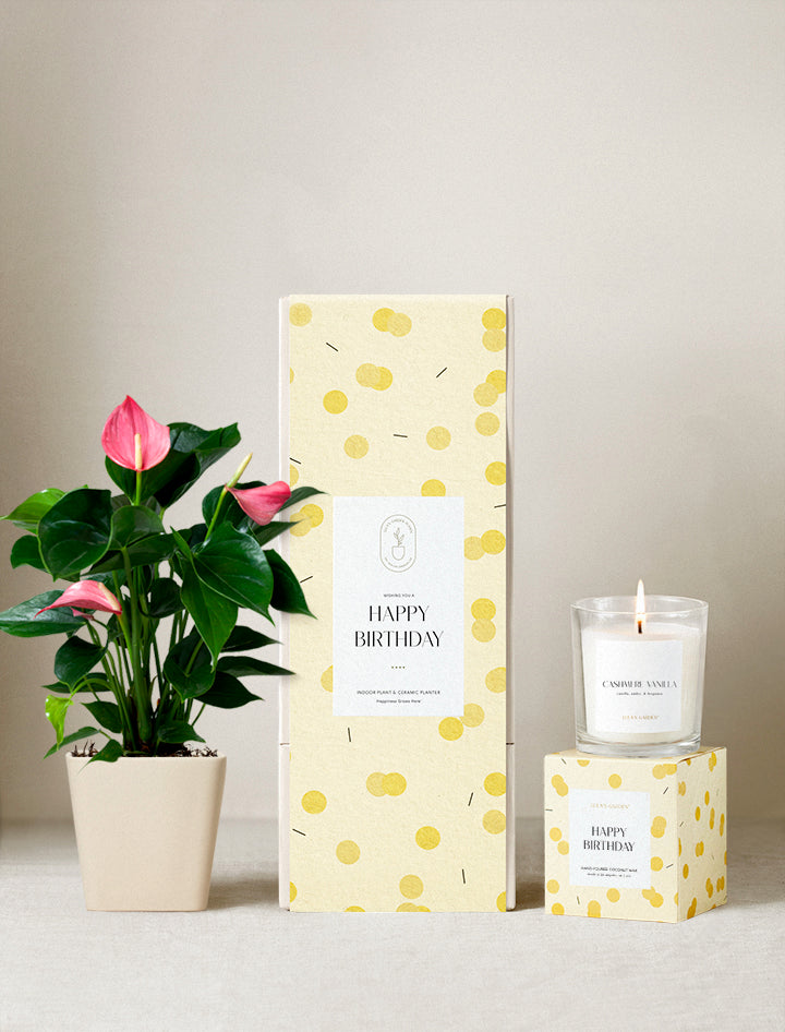 gifts for house plant lovers Birthday Gift | Plant Gifts