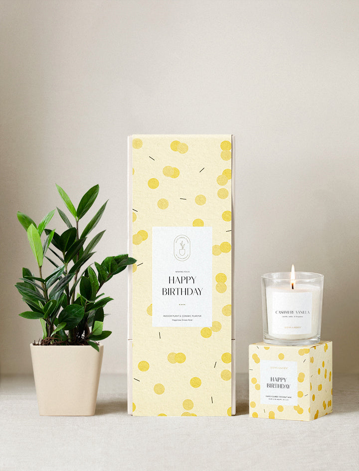 happy birthday plants Birthday Gift | Plant Gifts