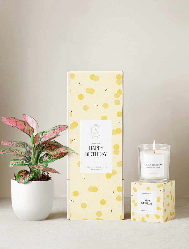 Happy Birthday Plant Gift Set