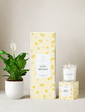 Happy Birthday Plant Gift Set