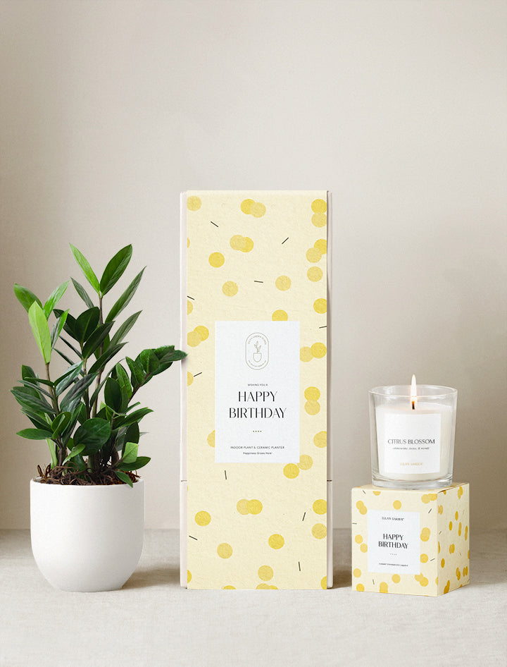 Happy Birthday Plant Gift Set