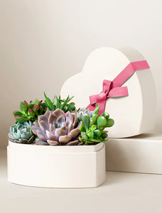Heart Garden