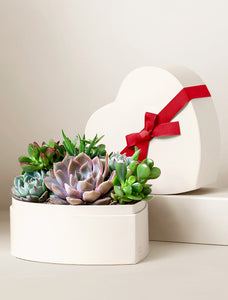 Heart Garden