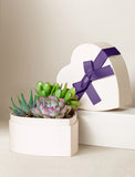 Beige gift box with gift wrap. - Image 