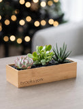 A rectangular bamboo planter box engraved with 'brook & york.' on the front, holding three small succulent plants, set on a light wood table with a blurred Christmas tree in the background. - Image 