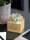 A small succulent plant in a light natural wood square planter box with the text 'your logo HERE' printed on the front, styled on a desk next to a laptop and a potted plant. - Image 