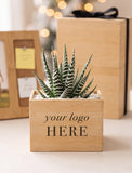 A small potted striped succulent in a light wood square planter box with the text 'your logo HERE' printed on the front, set on a tabletop with blurred gift boxes and warm bokeh lights in the background. - Image 
