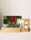 A wooden photo frame with a cork insert and sticky notes stands beside a bamboo succulent planter box containing green plants, with a green and red Christmas greeting card behind them on a light beige background. - Image 