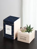 A cream-colored square gift box with a navy blue patterned lid and a white 'Happy Holidays' label, shown next to a small potted succulent in a matching cream planter box on a dark tabletop. - Image 