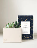 A holiday-themed chocolate box by Ellyn Garden, featuring a cream-colored box with a small gold lotus logo in front of its navy blue packaging decorated with gold string lights, next to a small potted succulent. - Image 