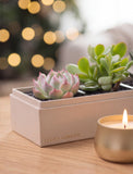 A rectangular white planter box labeled 'LULA'S GARDEN' containing two small succulent plants, set on a wooden table next to a lit gold candle with a blurred festive background. - Image 