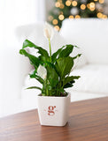 A potted peace lily plant with green leaves and white flowers sits on a wooden table in a bright living room setting with a blurred white sofa and warm bokeh lights in the background. The plant is in a square white ceramic pot with a stylized 'g' logo printed on the front. - Image 