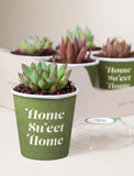 Lula's Favors 6-Pack Succulents - Welcome Home - Image 