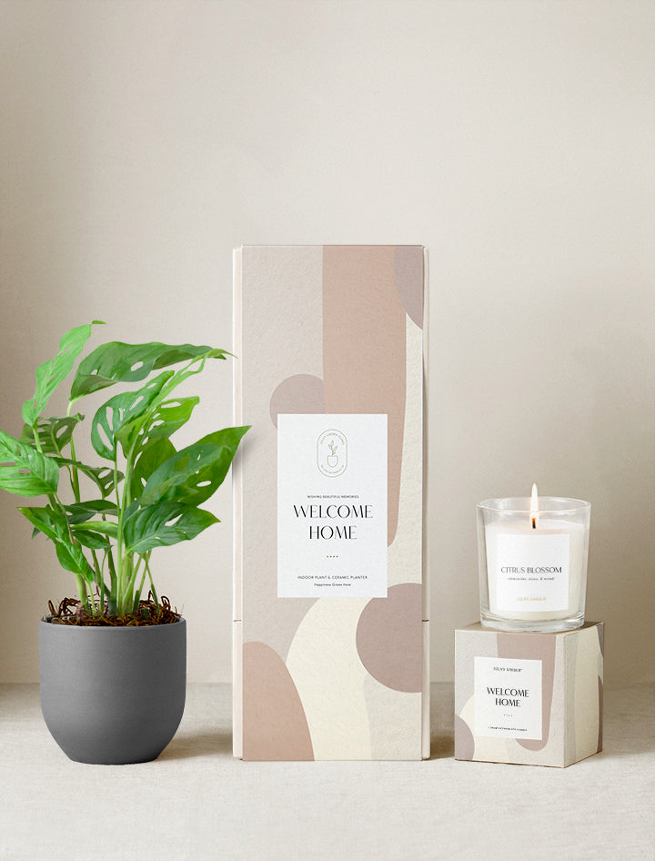Welcome Home Plant Gift Set