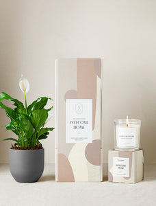 Welcome Home Plant Gift Set