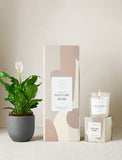 Welcome Home Plant Gift Set