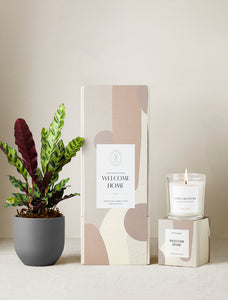 Welcome Home Plant Gift Set