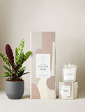 Welcome Home Plant Gift Set