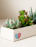 Fourth of July Jewel Garden - Image 