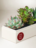 Holiday Corporate Jewel Garden