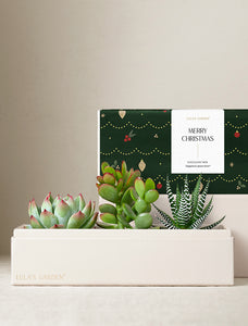 Christmas Jewel Garden