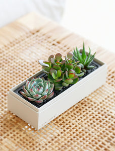 Mother's Day Jewel Garden