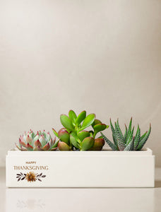 Thanksgiving Jewel Garden