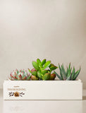 Thanksgiving Jewel Garden