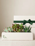 Wellness Month Jewel Garden - Image 