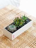 Pink Ribbon Jewel Garden - Image 