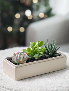 Christmas Jewel Garden