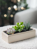 Christmas Jewel Garden