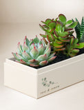 Wellness Month Jewel Garden