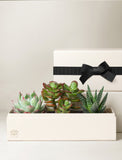 Corporate Jewel Garden - Image 