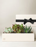Corporate Jewel Garden - Image 