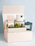 Classic Gift Box - Happy Holidays - Image 