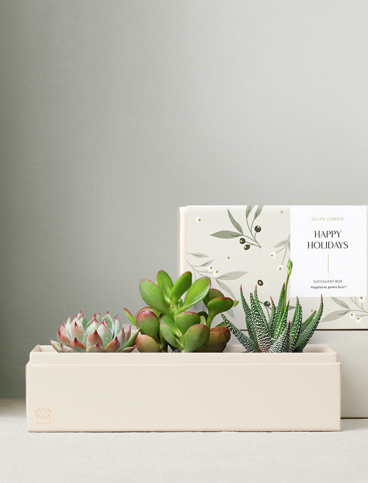 Holiday Corporate Jewel Garden