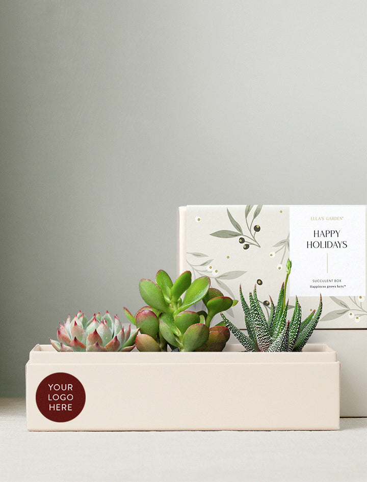 Holiday Corporate Jewel Garden