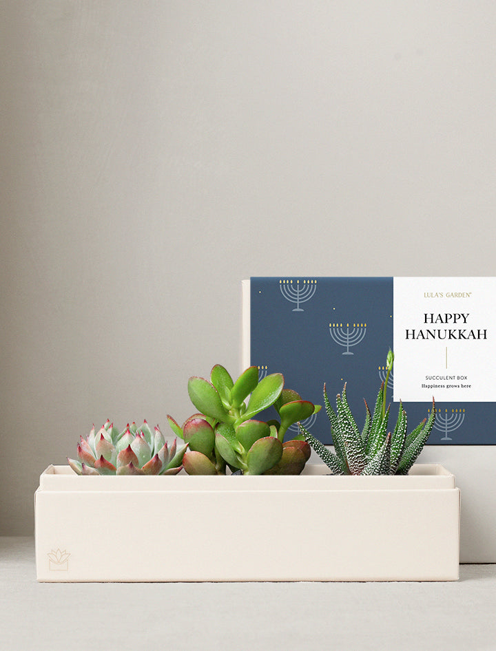 Hanukkah Jewel Garden