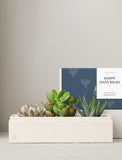 Hanukkah Jewel Garden
