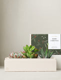 Christmas Jewel Garden