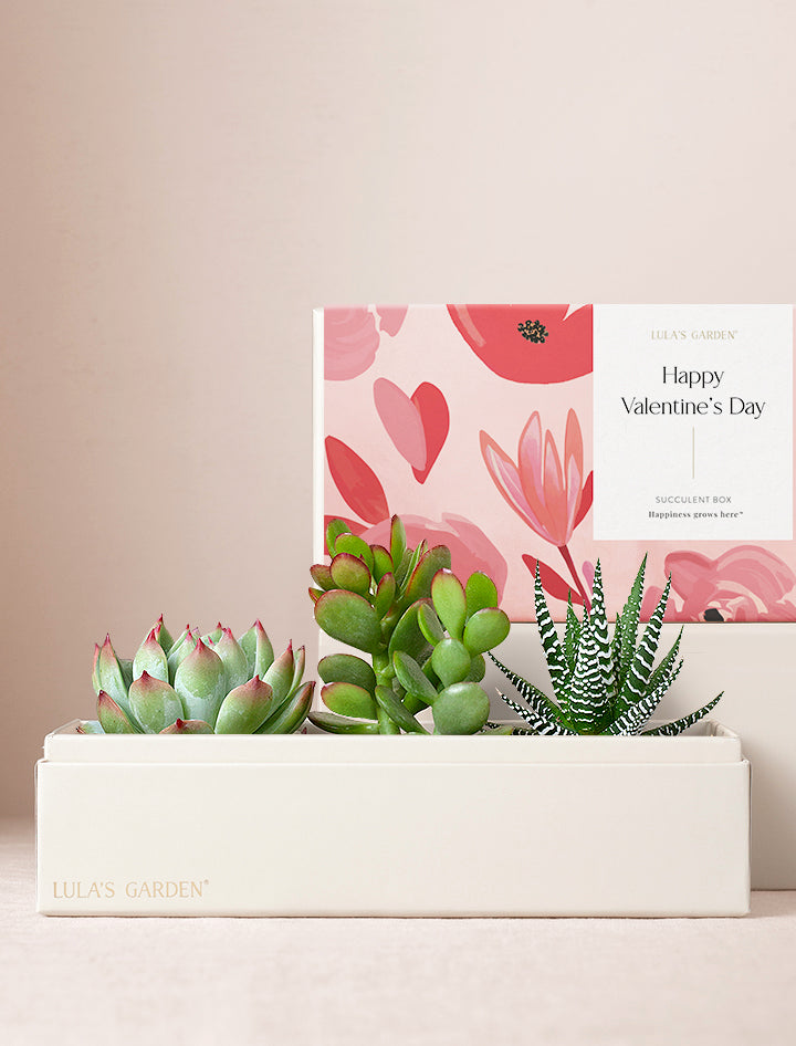 Valentine's Day Jewel Garden