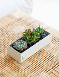 Wellness Month Jewel Garden - Image 