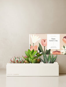 Jewel Garden