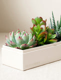 Mother's Day Jewel Garden: Modern rectangular white planter with assorted green succulents, including Echeveria and Haworthia. - Image 