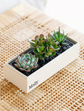 Custom Text Jewel Garden