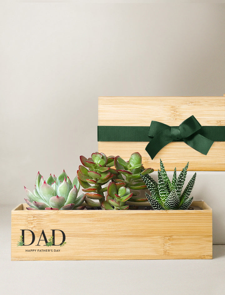 ferm living plant box olive Plant Box main image 1