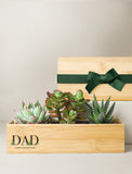 Father's Day Bamboo Jewel Garden - Image 