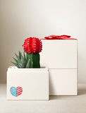 Fourth of July Joy Garden - Image 