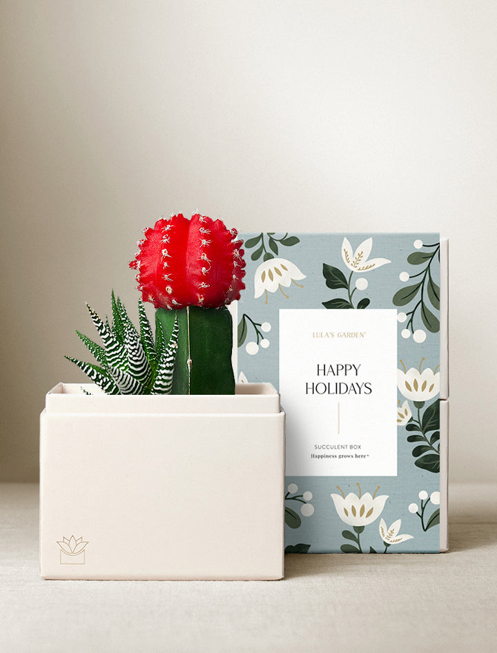 Holiday Joy Garden